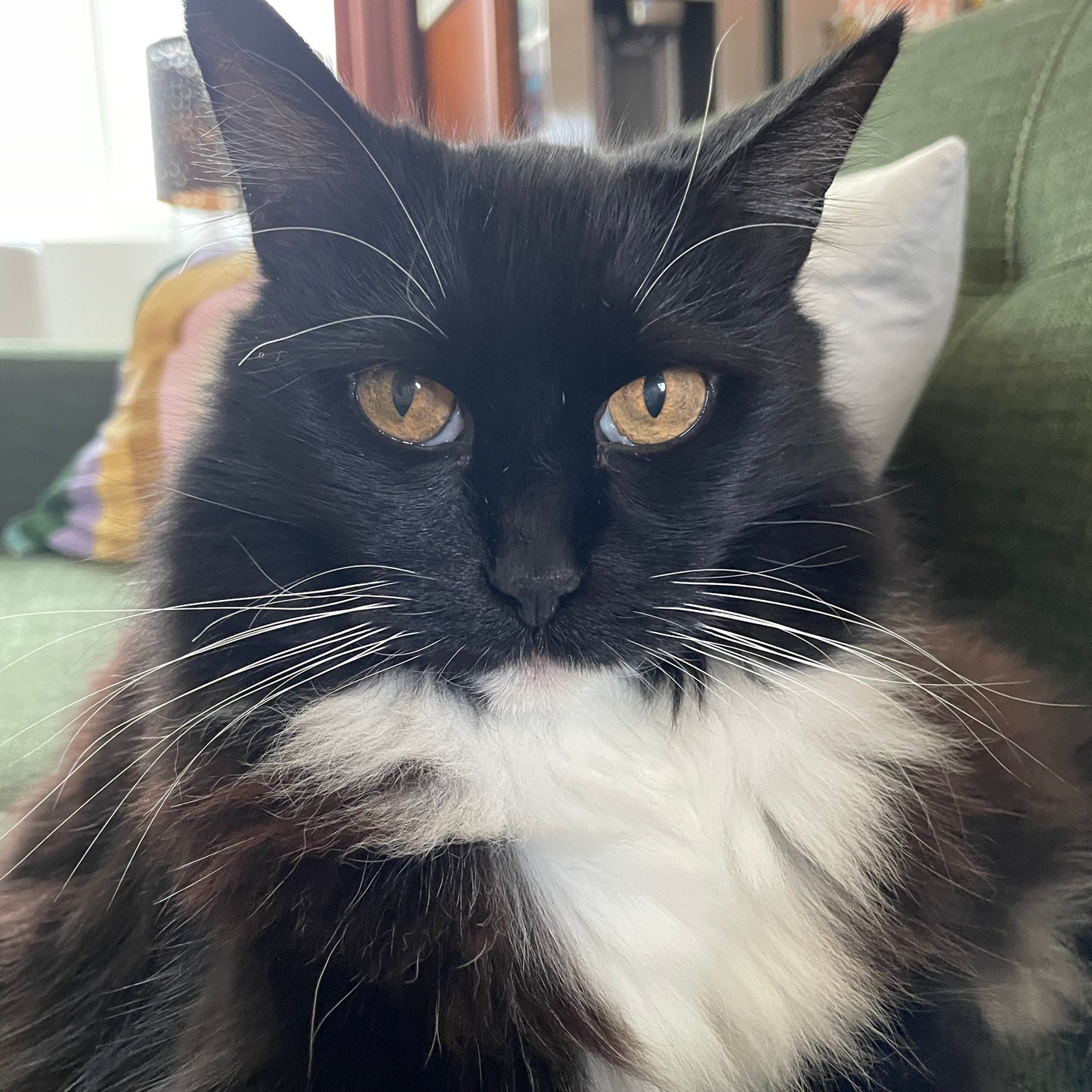 Portrait of Love Charm only