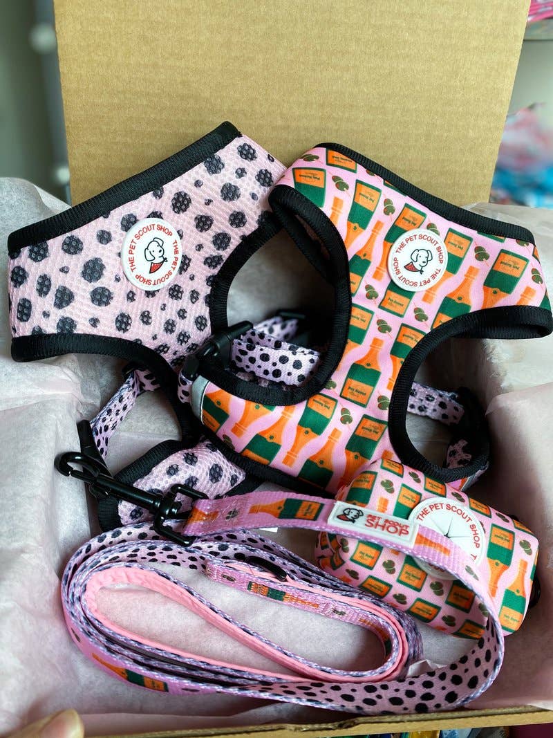 Champagne Toast 2 PC SET - Reversible Harness w/leash