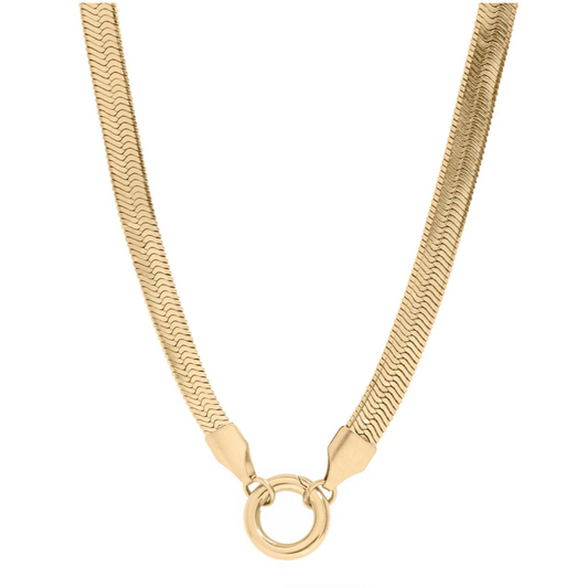 Portrait of Love Herringbone Coin Charm Necklace