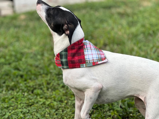 Holiday Country Plaid Bandana or Bowtie