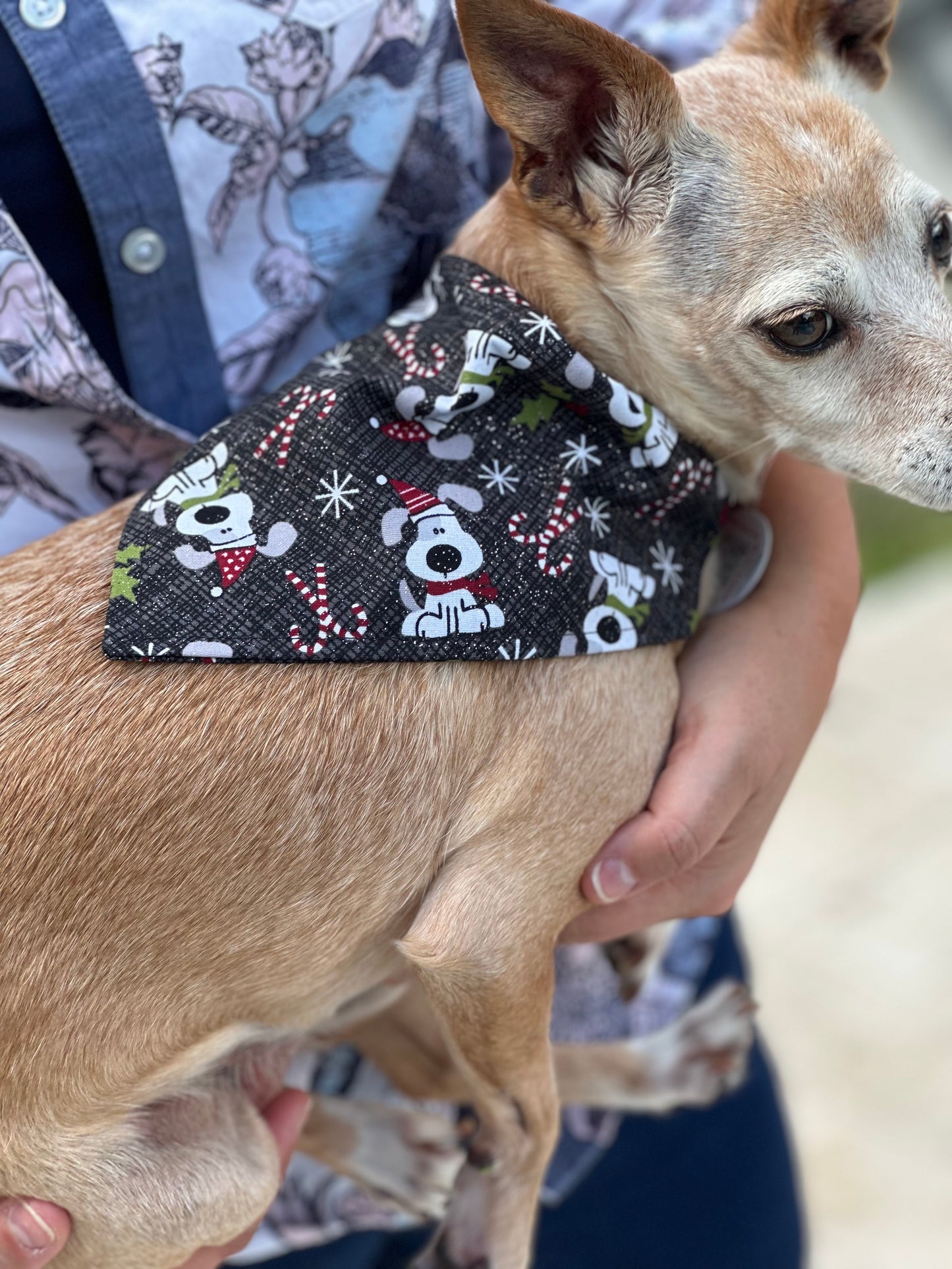 Holiday Candy Cane Bandana and Bow tie