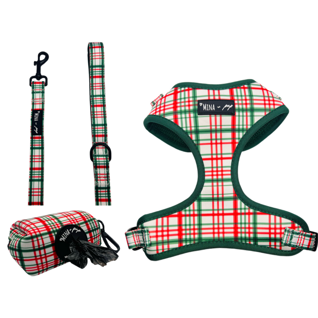 Bundle 6 pc set “You’re a Gift” holiday harness set