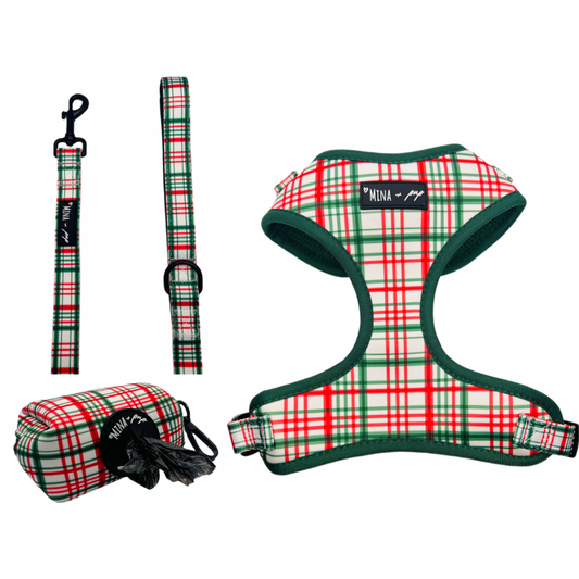 “You’re a Gift” holiday harness set