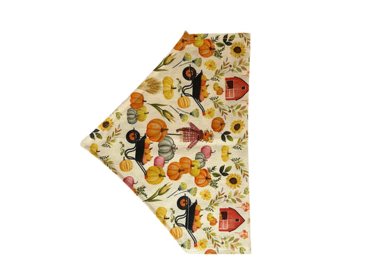 Fall Pumpkin Patch Bandana