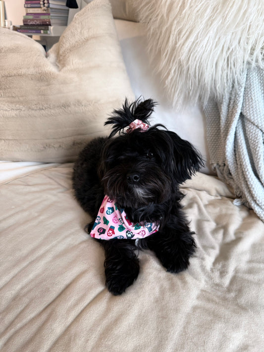 Holiday I’m Smitten Bandana