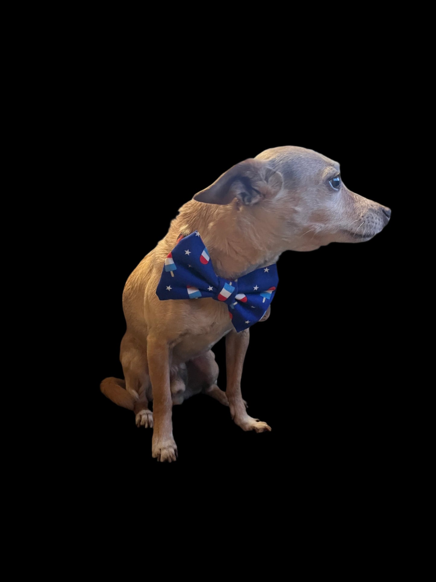 Holiday Pawsicle Bandana or Bowtie