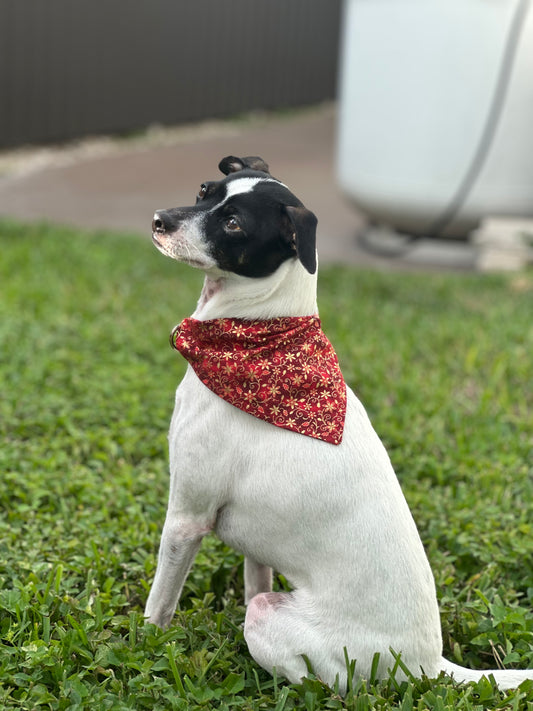 Holiday Golden Floral Bandana or Bowtie