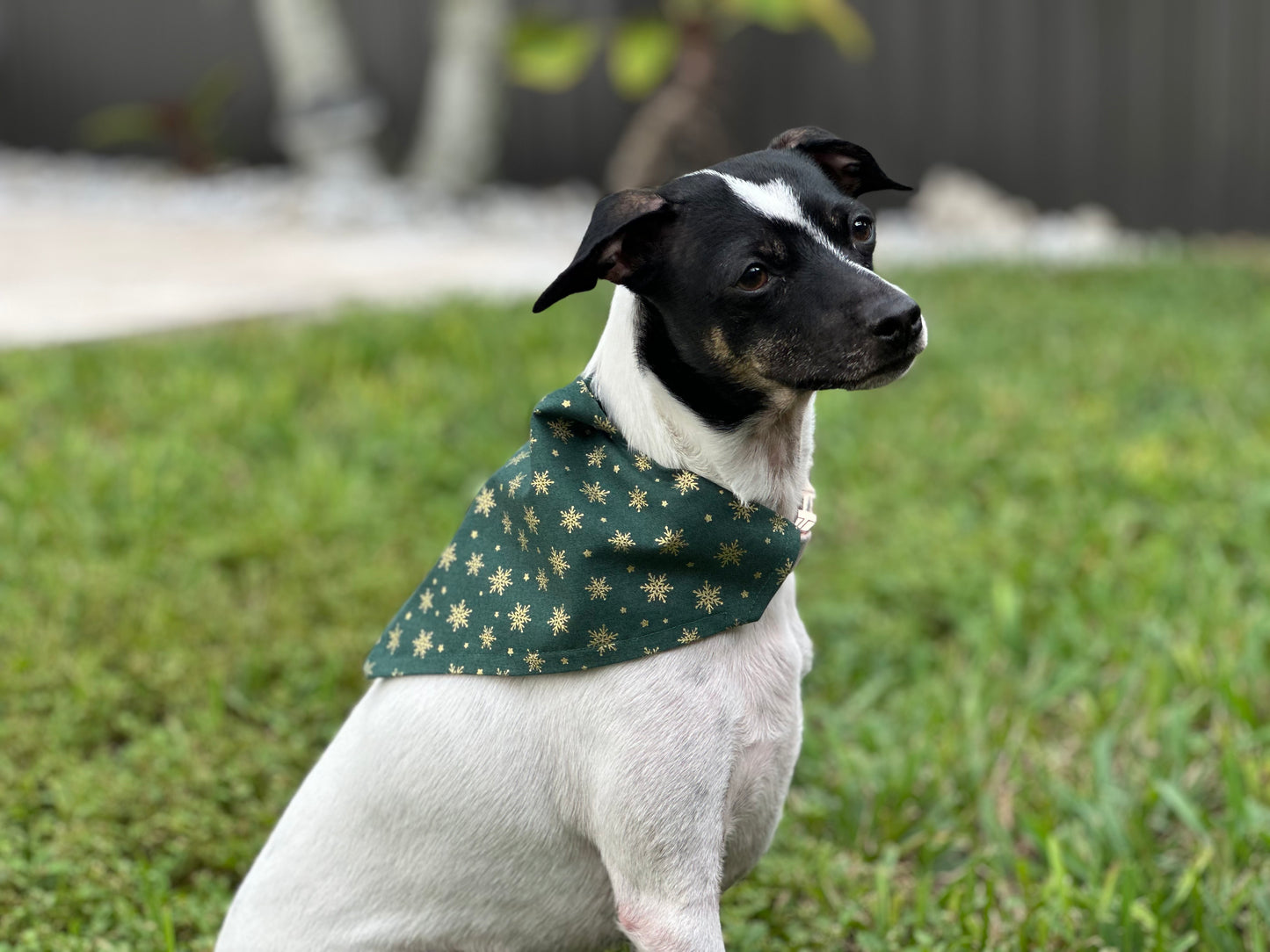 Holiday Emerald Sparkle Bandana or Bowtie