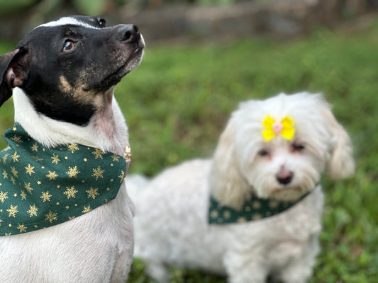 Holiday Emerald Sparkle Bandana or Bowtie