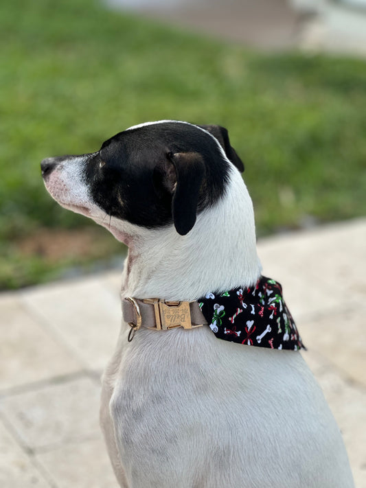 Holiday Pawty Bones Bandana