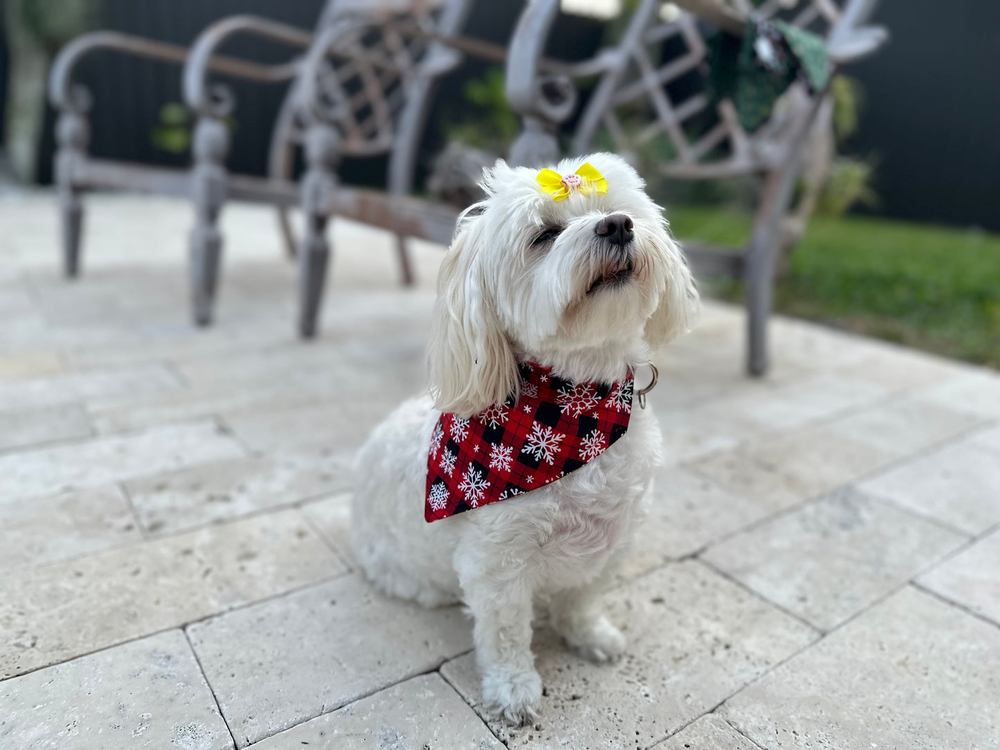 Holiday Snowflakes Plaid Bandana