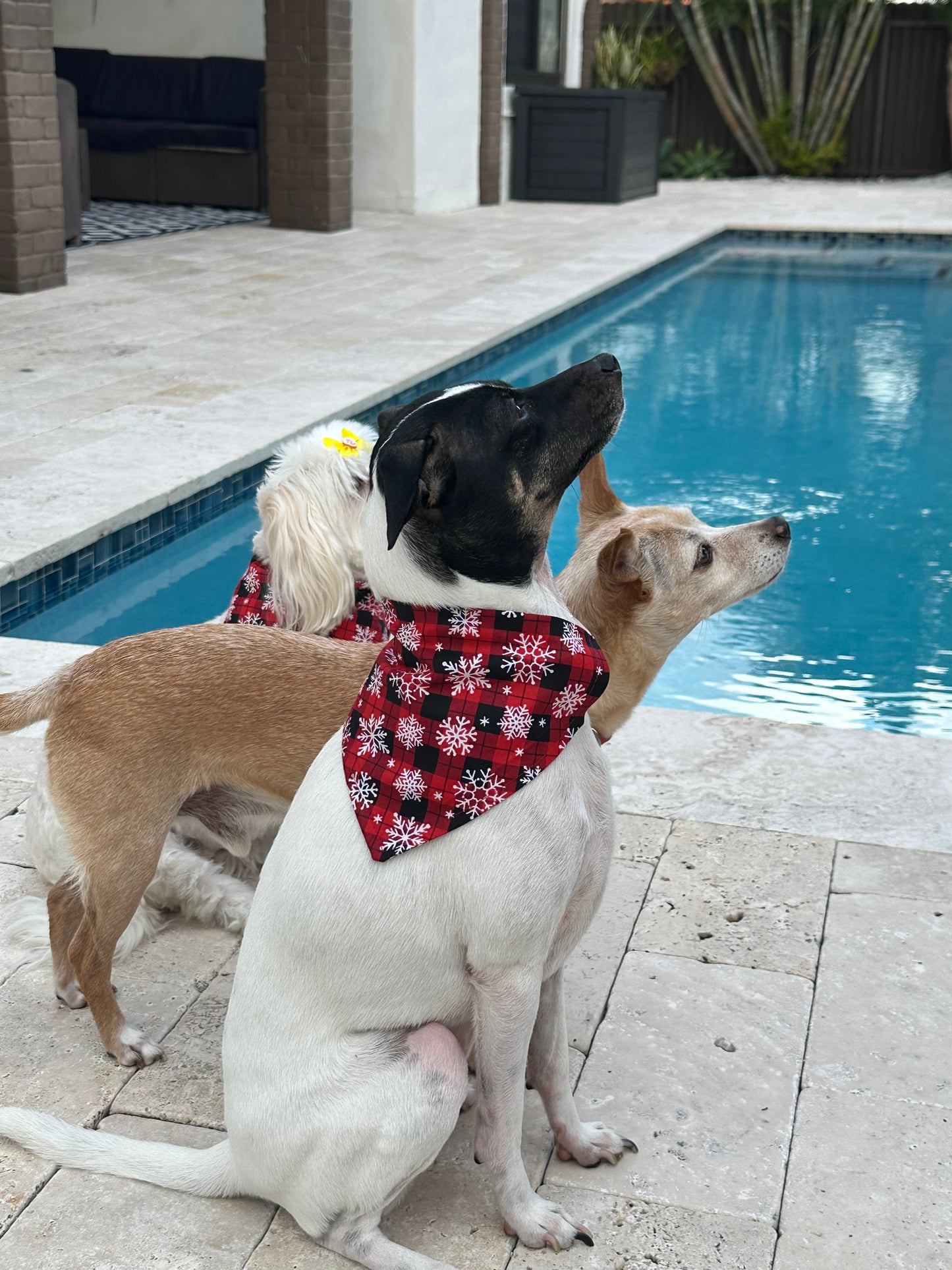 Holiday Snowflakes Plaid Bandana