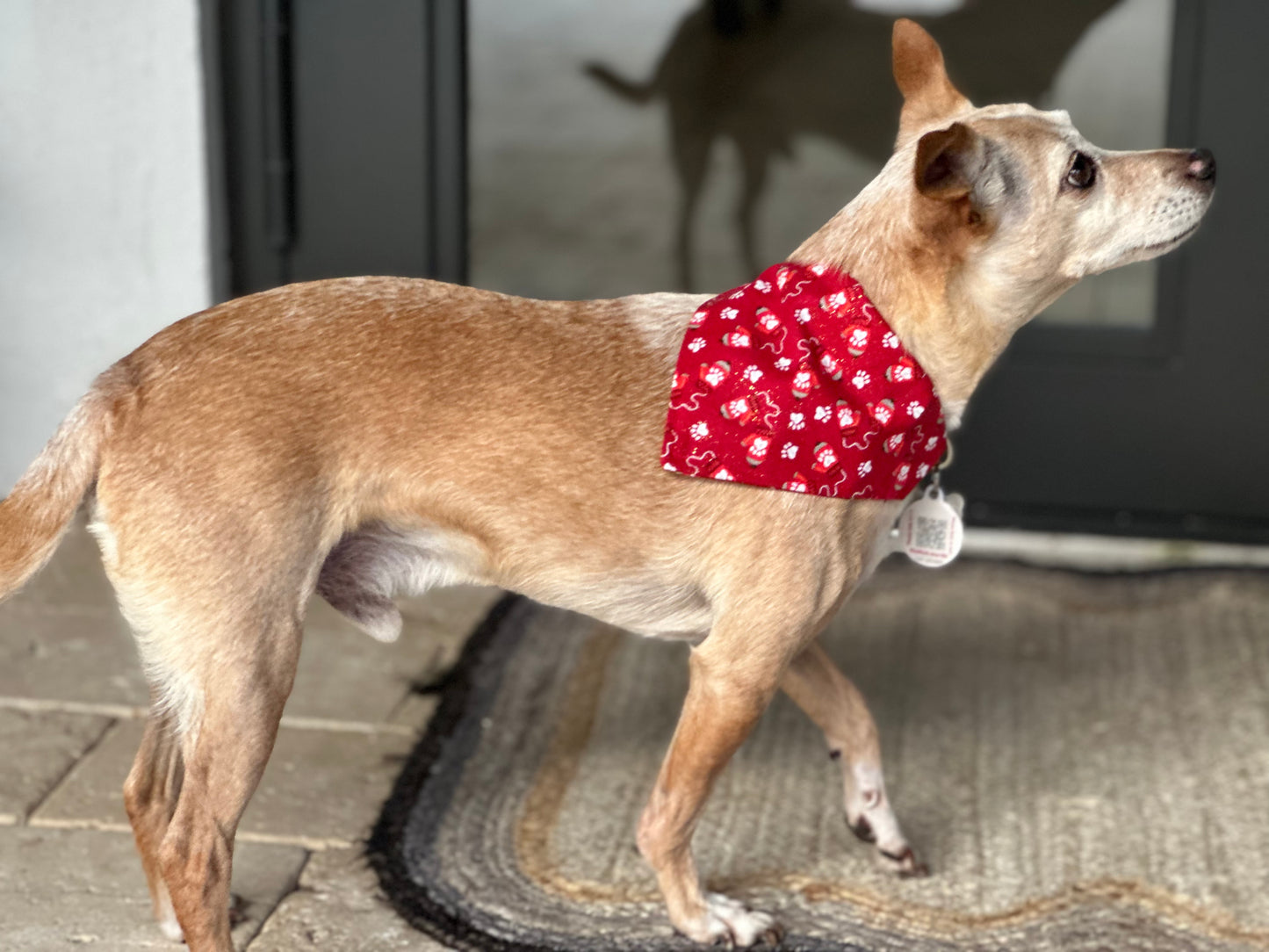 Holiday Mittens Bandana & Bowtie