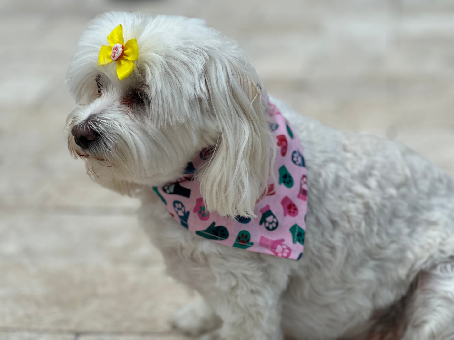 Holiday I’m Smitten Bandana