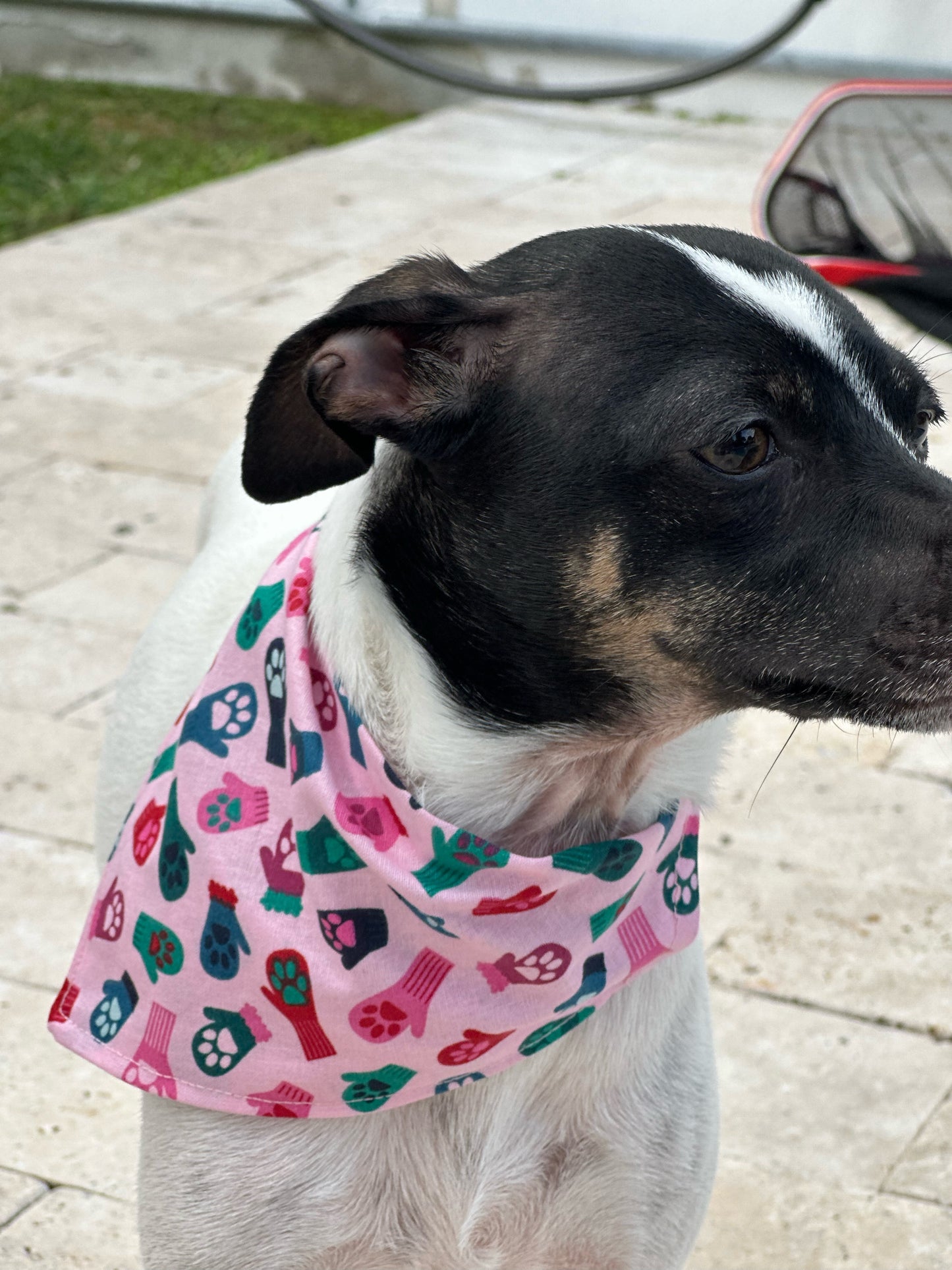 Holiday I’m Smitten Bandana