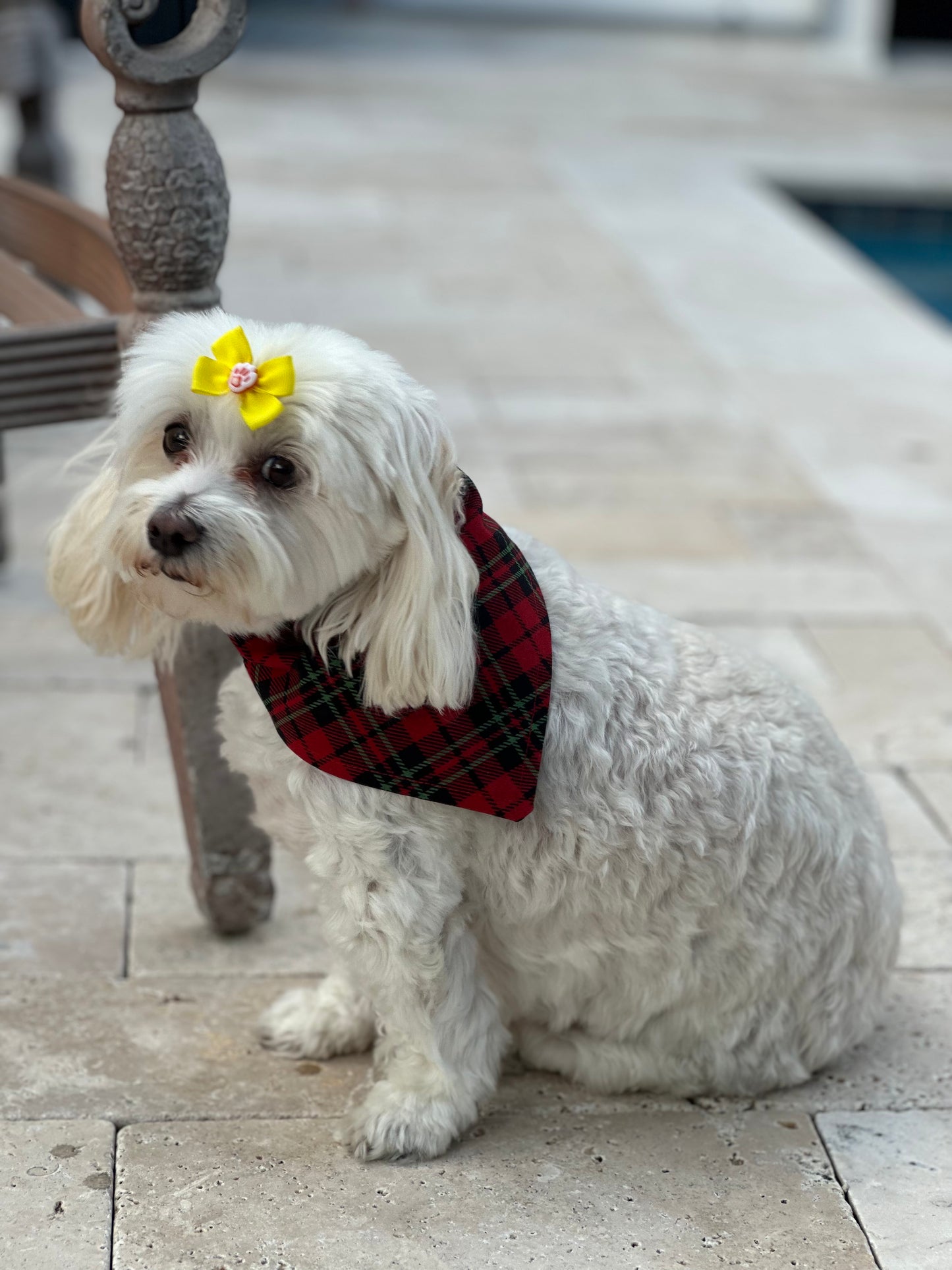 Holiday Plaid Chic Bandana