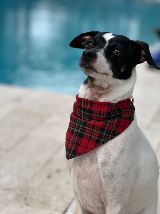 Holiday Plaid Chic Bandana